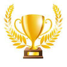 FINALE de LIGUE MIXTE/4  PERFORMANCE