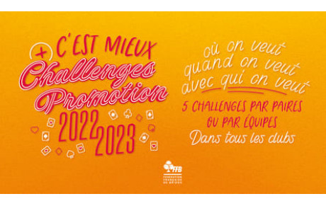 Challenges PROMOTION